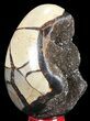 Septarian Dragon Egg Geode - Black Crystals #54574-1